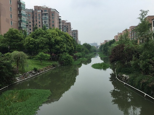 河道修復(fù)