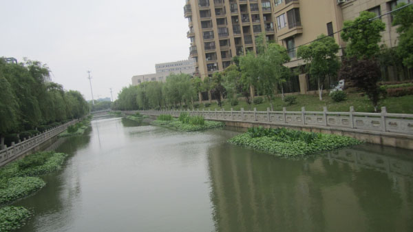 保利東江黑臭河道修復項目