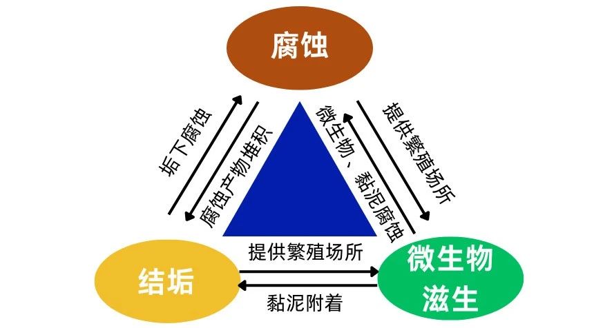 80ed0652f111ee28304dc12af90d3ab6.jpg